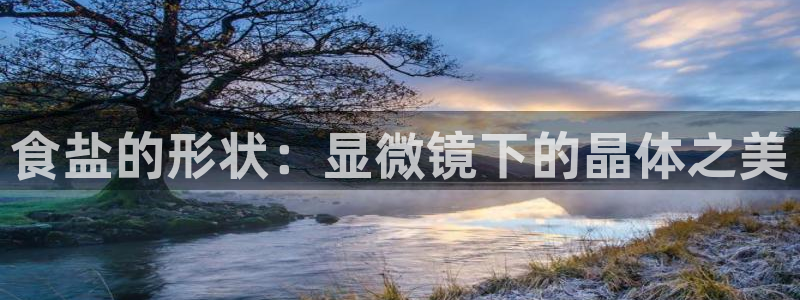 威九国际h5