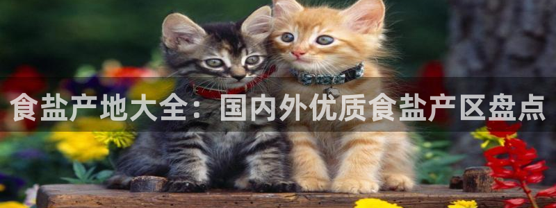 威九国际理论片最经典十首歌曲