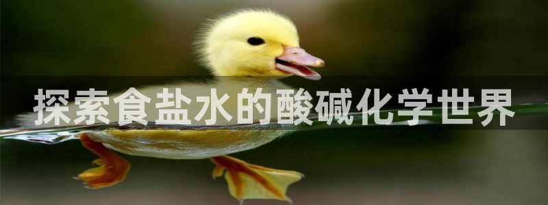 威九国际能提现吗