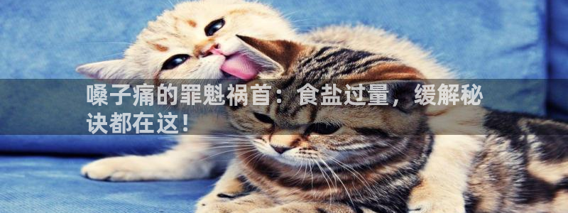 78mapp威九国际最新版