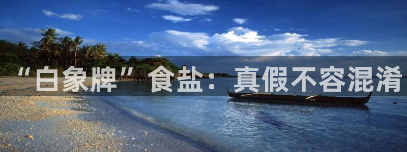 威九国际A