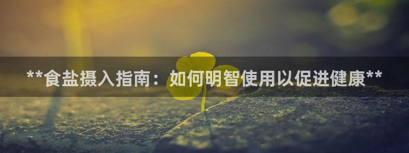 威九国际清砖码头怎么样