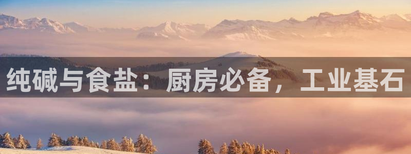 威九国际演员2023年最新作品