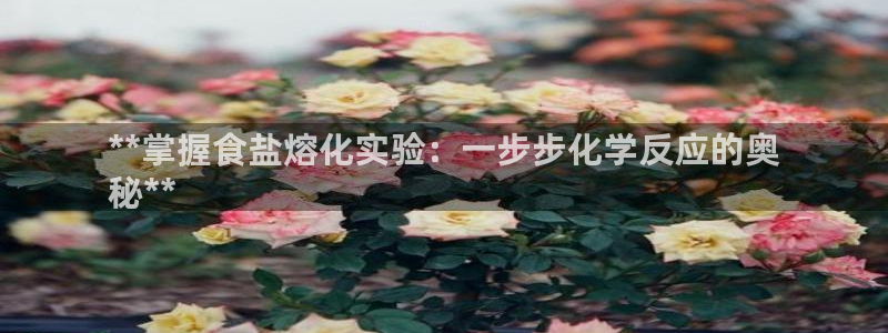 威九国际Sxsx