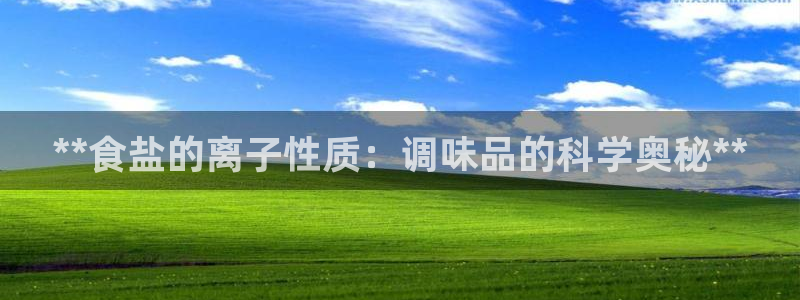 威九国际fX8x
