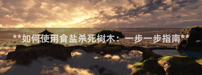 威九国际app大全下载安装
