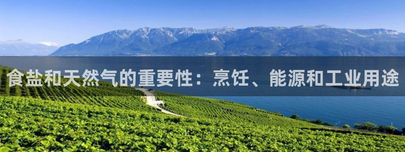 威九国际app入口在哪