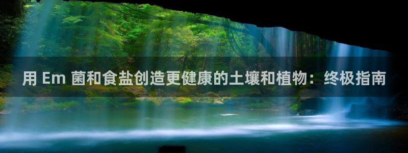 威九国际客服电话号码