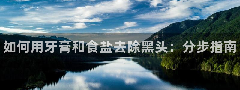威九国际X8