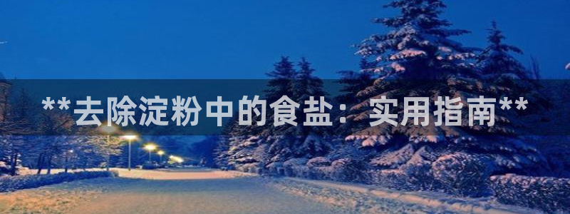 威九国际PPT