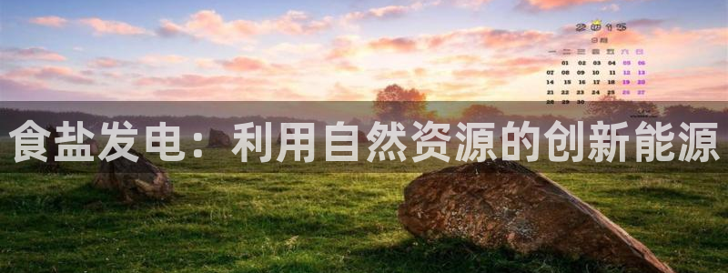 保定威九网络科技有限公司怎么样