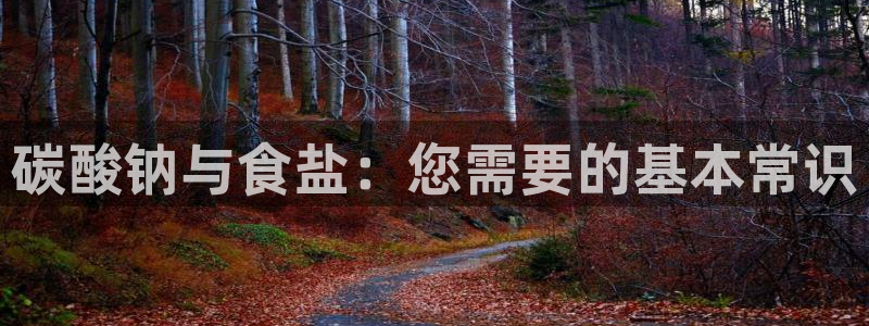 威九国际集团66m一6在线