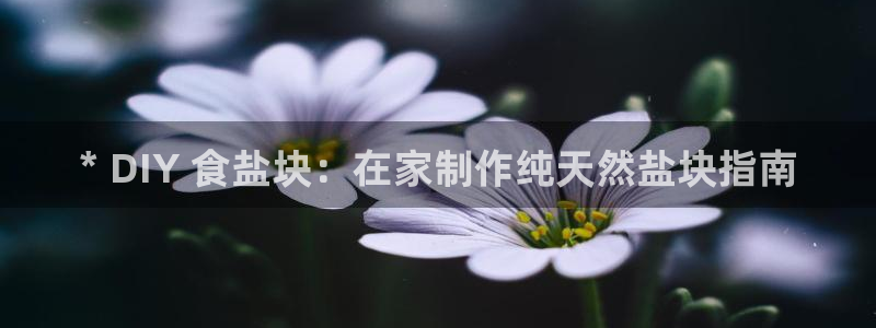 威九国际韩国