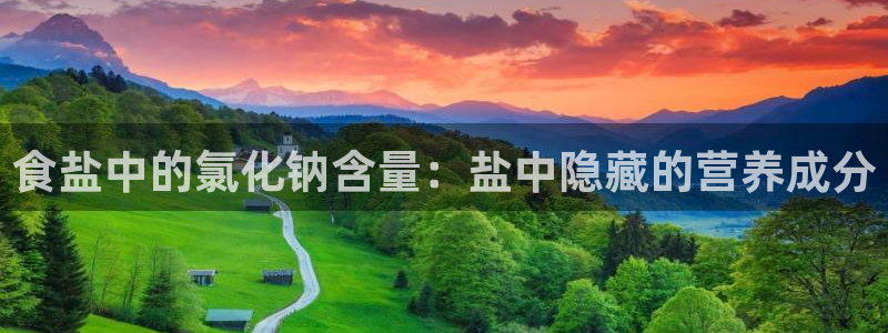 威九国际系列