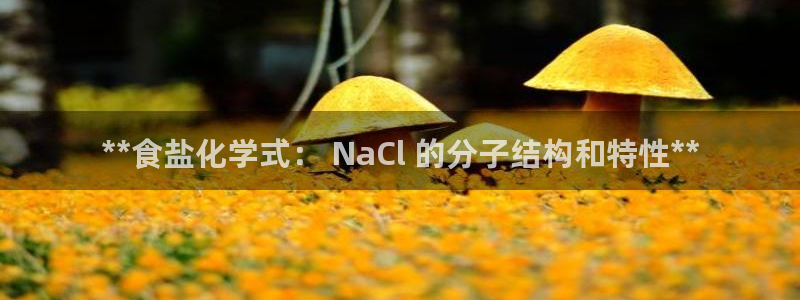 威九国际客服电话号码查询