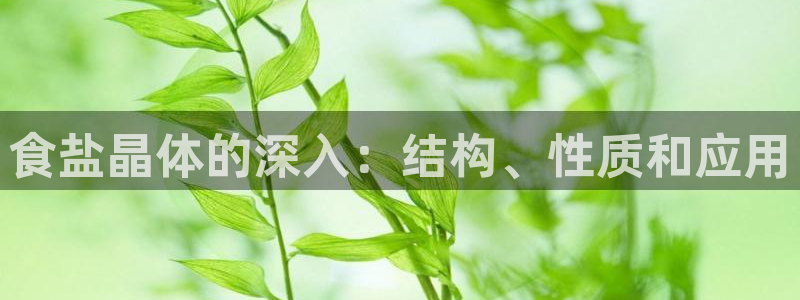威九国际游戏网站