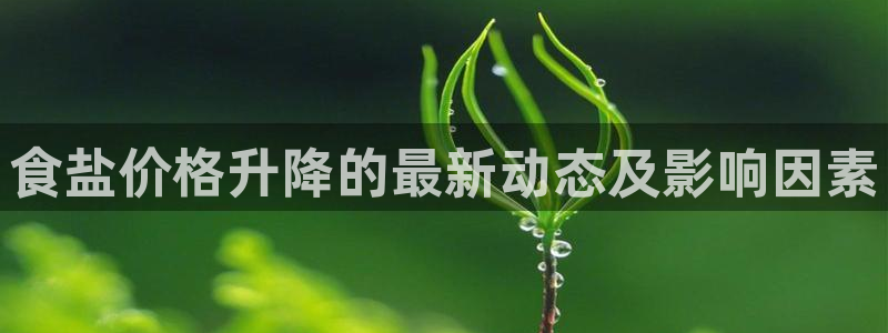 威九国际狂飚电影