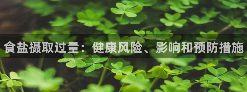 威九国际ppt免费下载