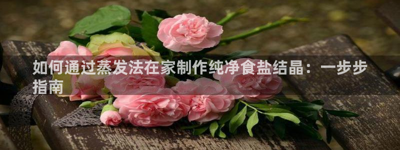 威九国际官网版下载