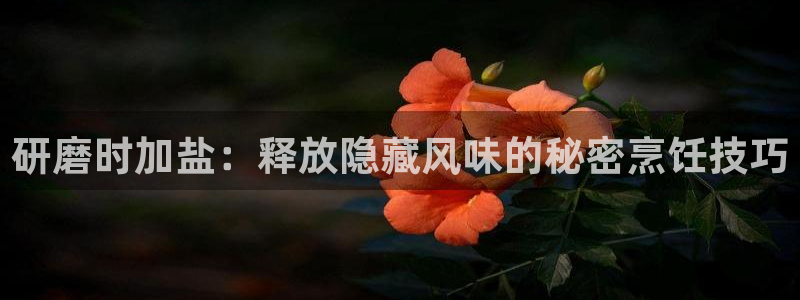 威九国际X8