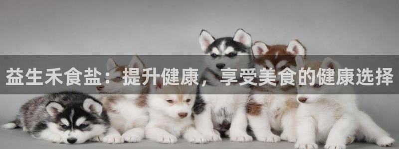 威九国际下载官网app