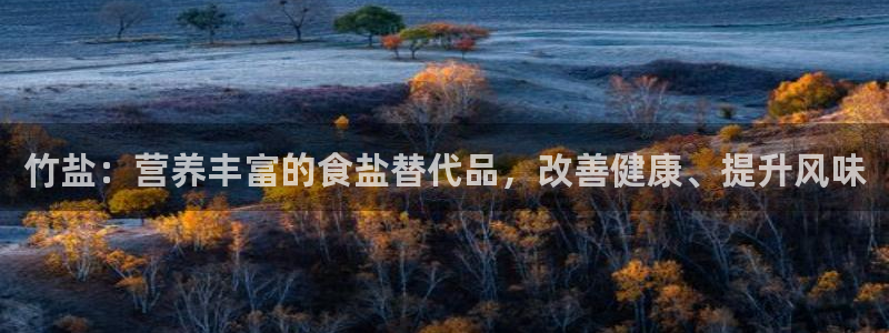 威九国际的金融服务怎么样