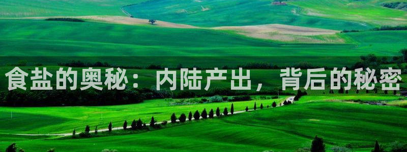 78mppt威九国际