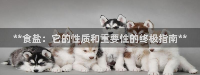 威九国际游戏app(网站)