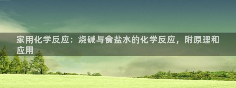 威九国际网站入口官网免费