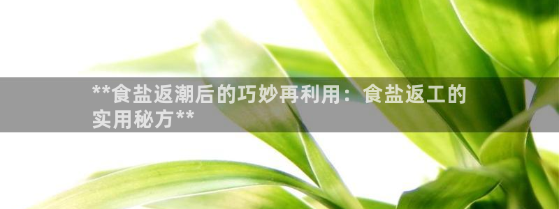 威九国际留学