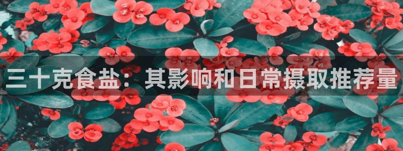 威九国际空降视频
