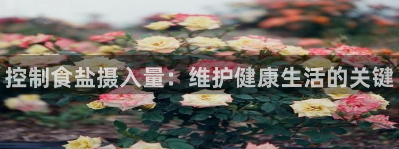 威九国际v96bet官网版