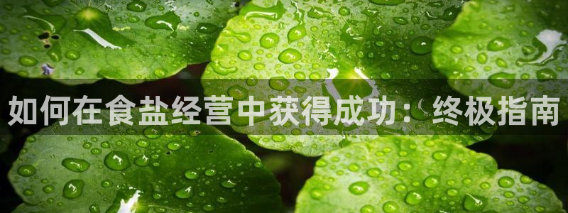威九国际电视