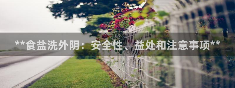 威九国际精忐