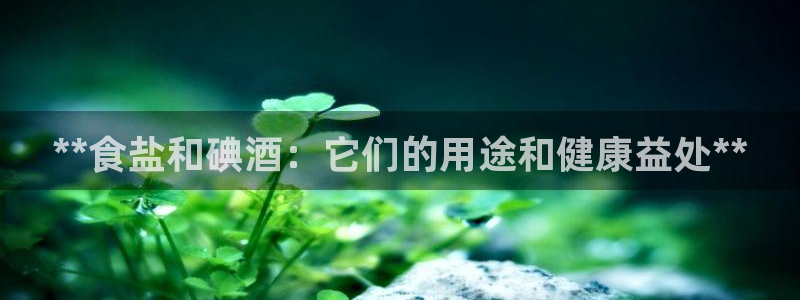 保定威九网络科技有限公司电话