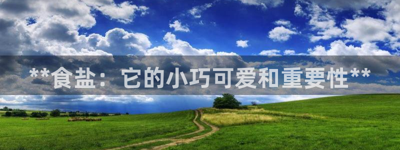 威九国际X8