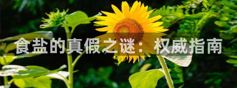 威九国际合作伙伴有哪些