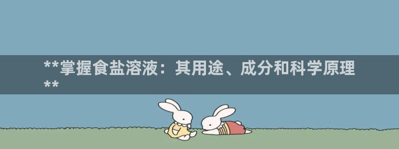 威九国际ppt免费