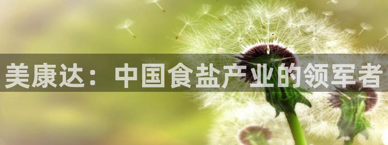 威九国际狂飚电影