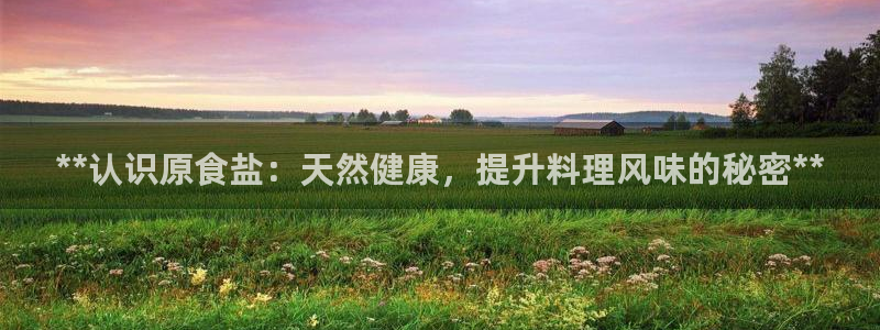 威九国际软件