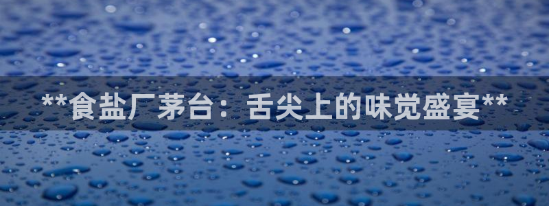 威九国际H