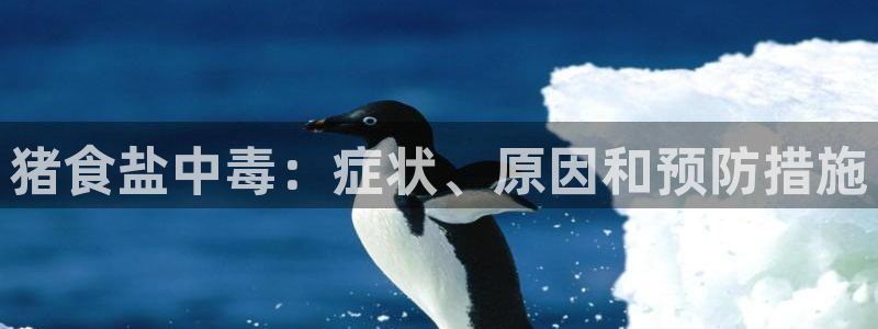 威九国际地址