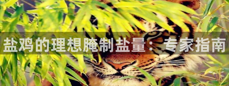 威九国际MV