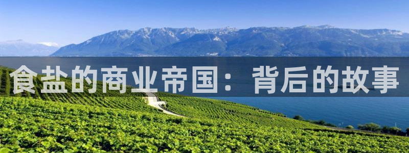 威九国际游戏入口