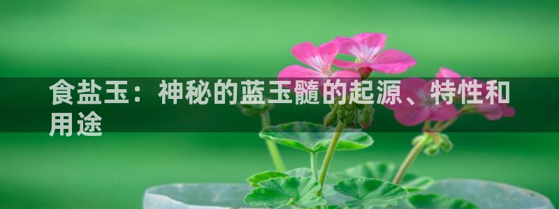 威九国际新