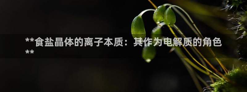 威九国际网站进入产品分类