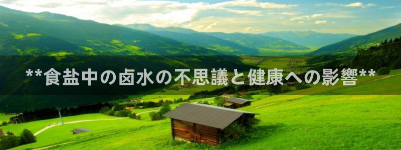威九国际女