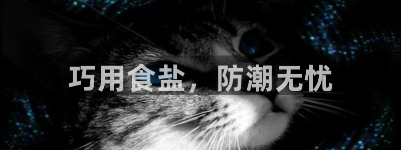 威九国际精忐