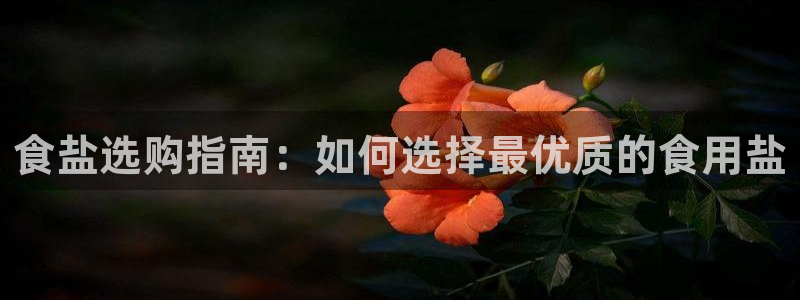 威九国际app客服电话号码