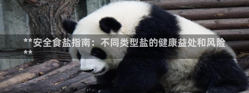 威九国际官方入口官网